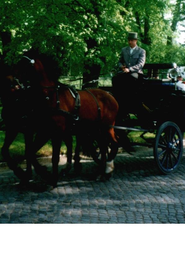Pension Am Rheinsberger Schlosspark ภายนอก รูปภาพ